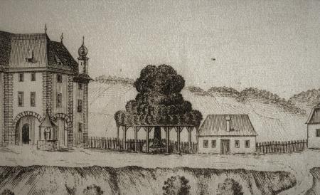 Tanzlinde G. M. Vischer